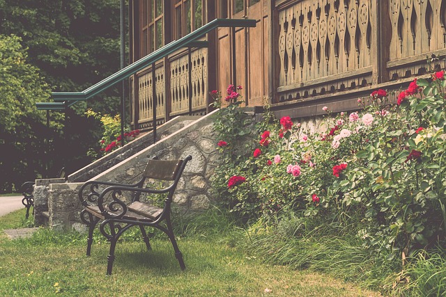 入更多的心 入更多的心