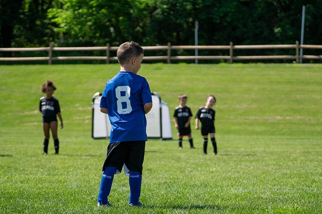 面临的国际 面临的国际