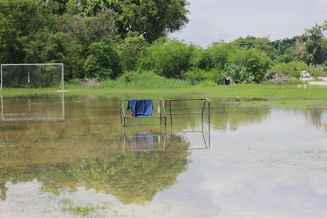 从克罗斯精 从克罗斯精