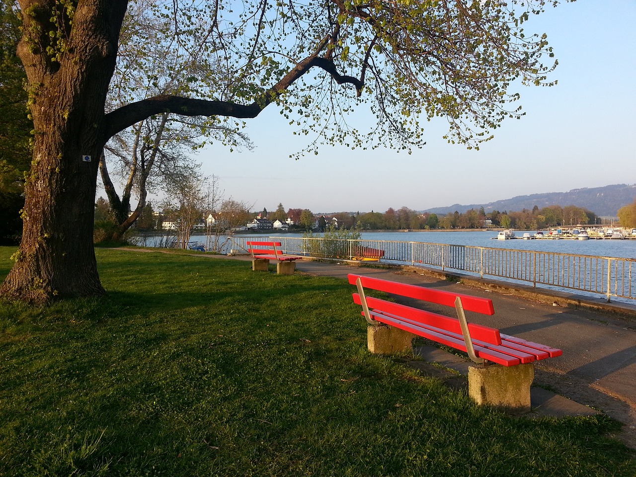 有良好的运 有良好的运