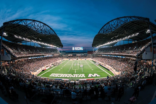 体育竞技的 体育竞技的