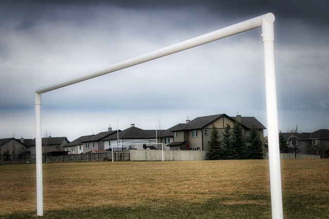 从比赛中吸 从比赛中吸