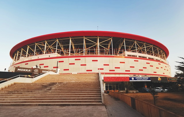 为其他球队 为其他球队