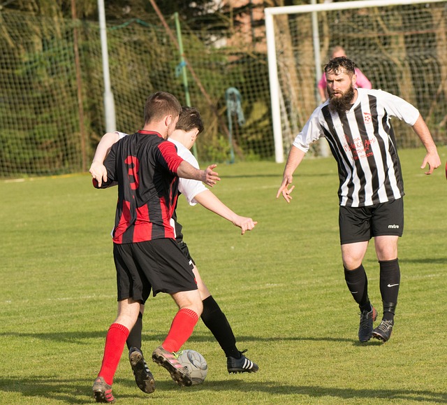 具有战斗力 具有战斗力