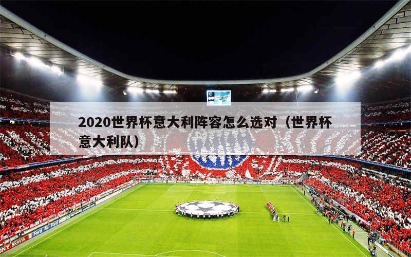 2020世界杯意大利阵容怎么选对（世界杯意大利队）